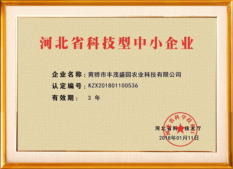 科技型企業(yè)