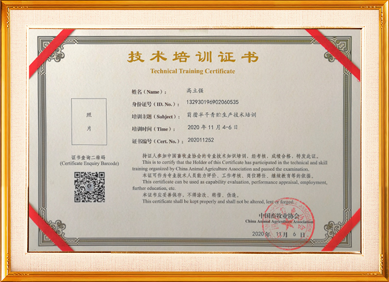 技術(shù)培訓(xùn)證書